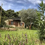 La Cerca Del Alcornoque