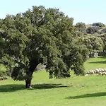 La Cerca Del Alcornoque Casas de Belvis