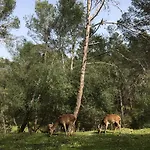 La Cerca Del Alcornoque Casa di campagna *