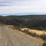 La Cerca Del Alcornoque *