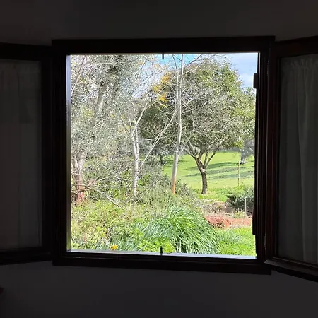 La Cerca Del Alcornoque Casas de Belvis