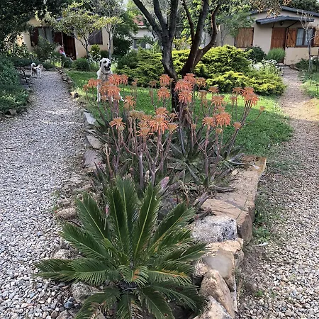 La Cerca Del Alcornoque Gospodarstwo wiejskie Casas de Belvis