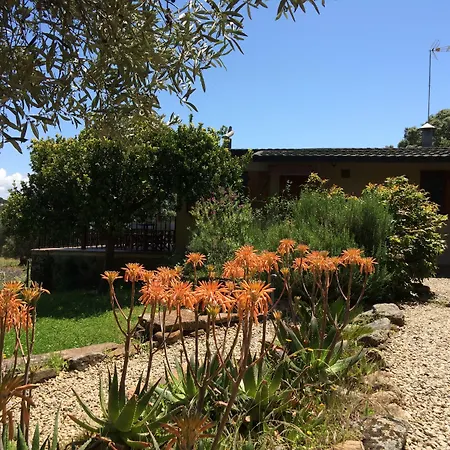 La Cerca Del Alcornoque *