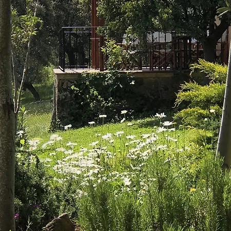 La Cerca Del Alcornoque Casas de Belvis