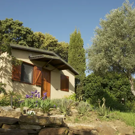 La Cerca Del Alcornoque