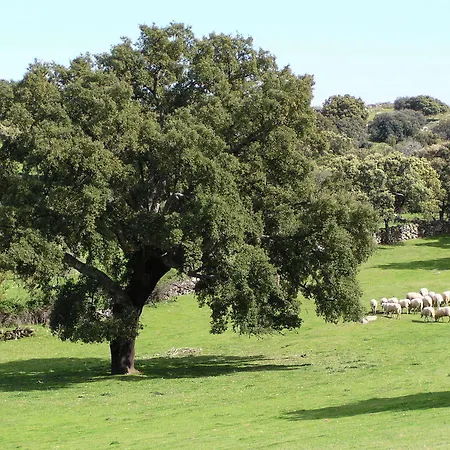 La Cerca Del Alcornoque Casas de Belvis
