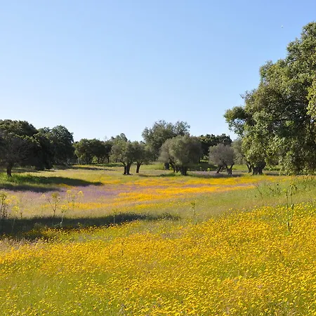 Gospodarstwo wiejskie La Cerca Del Alcornoque Casas de Belvis