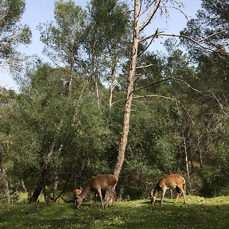 La Cerca Del Alcornoque Casa rural *