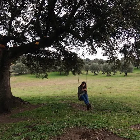 Gospodarstwo wiejskie La Cerca Del Alcornoque