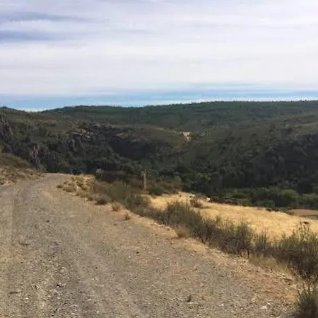 La Cerca Del Alcornoque *