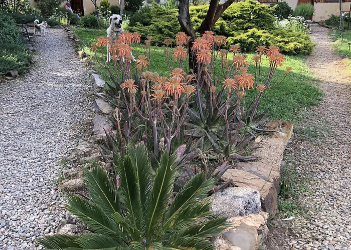 La Cerca Del Alcornoque Venkovský dům Casas de Belvis