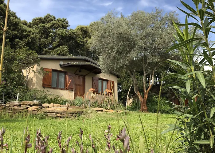 La Cerca Del Alcornoque