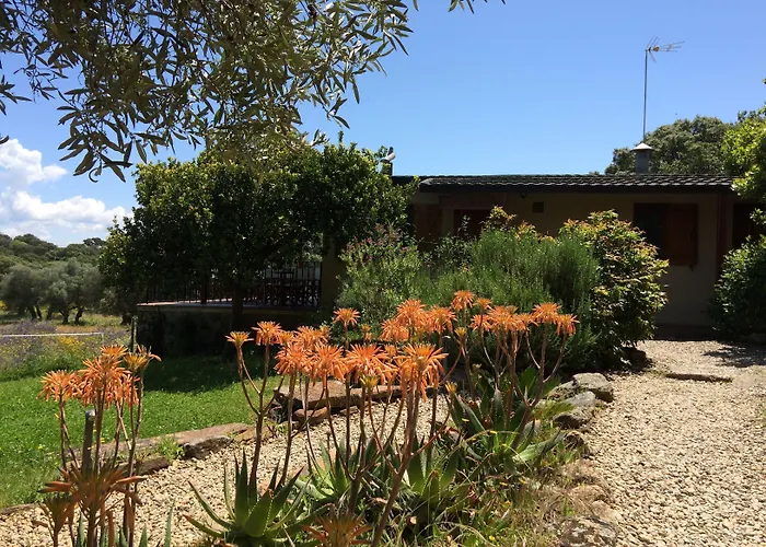 La Cerca Del Alcornoque *