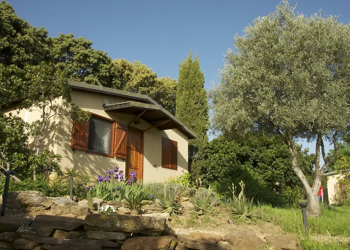 La Cerca Del Alcornoque