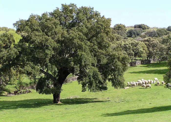 La Cerca Del Alcornoque Casas de Belvis