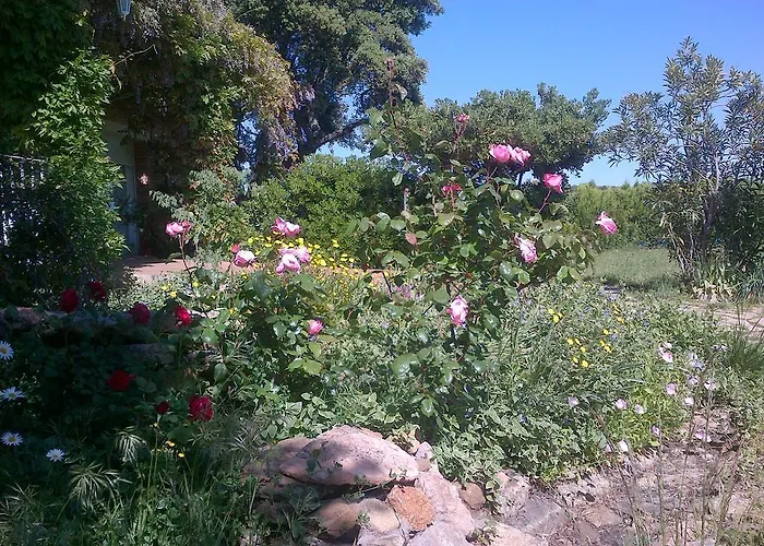 Εξοχικό σπίτι La Cerca Del Alcornoque Casas de Belvis