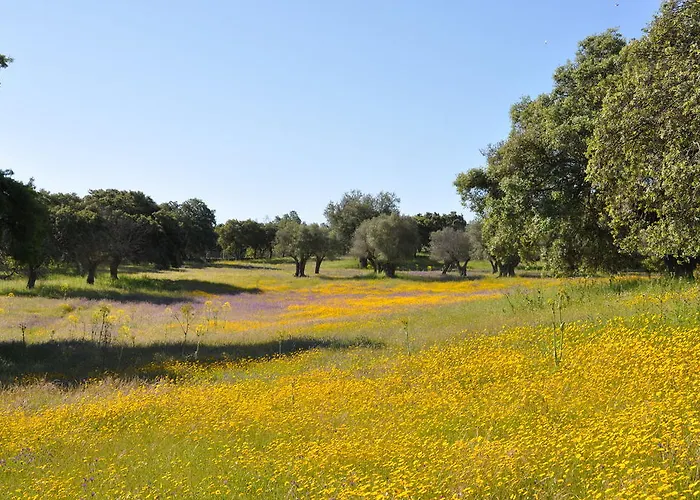 Εξοχικό σπίτι La Cerca Del Alcornoque Casas de Belvis