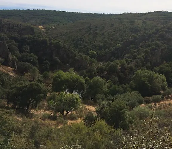 La Cerca Del Alcornoque * Casas de Belvis