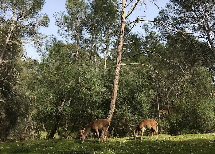 La Cerca Del Alcornoque Venkovský dům *
