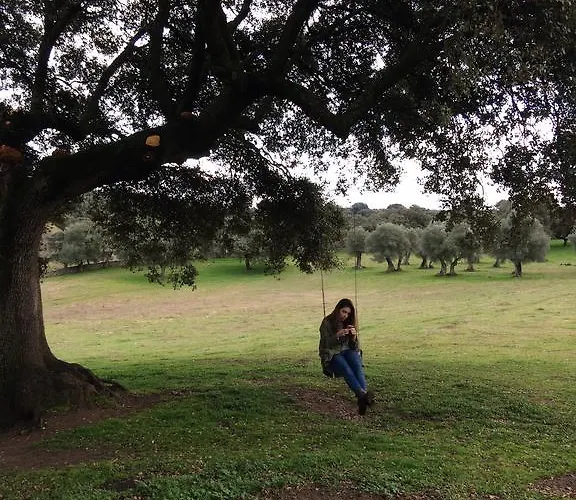 Venkovský dům La Cerca Del Alcornoque