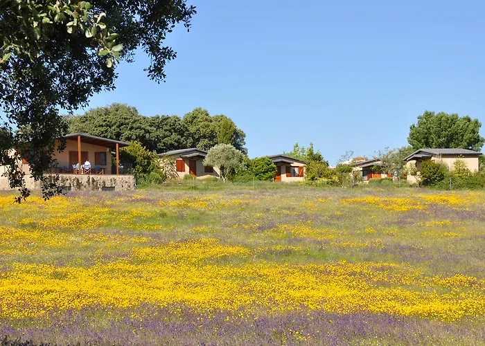 La Cerca Del Alcornoque Εξοχικό σπίτι Casas de Belvis